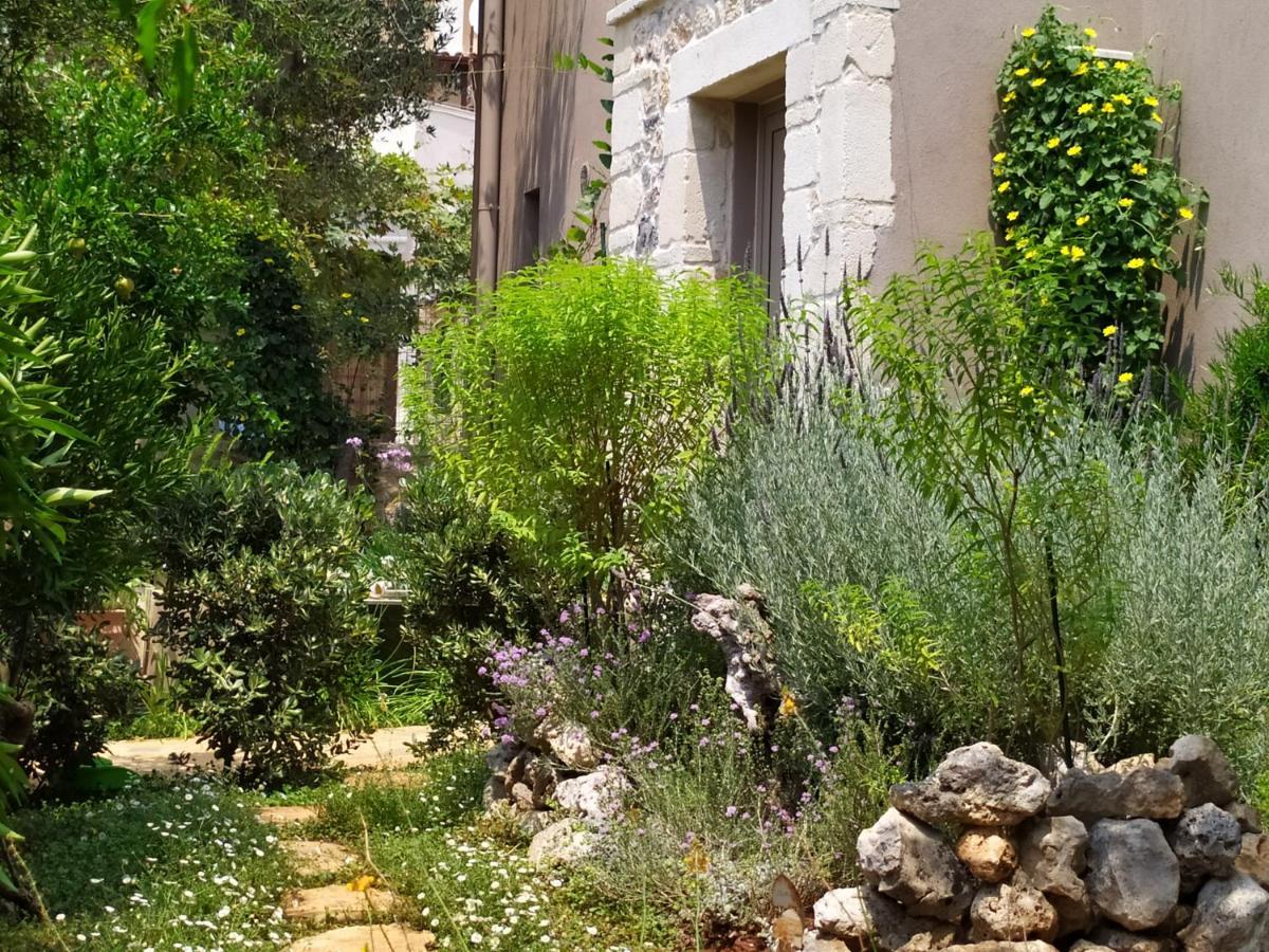Olive Lemon Biophilic House & Lush Forest Garden Vamos Zewnętrze zdjęcie