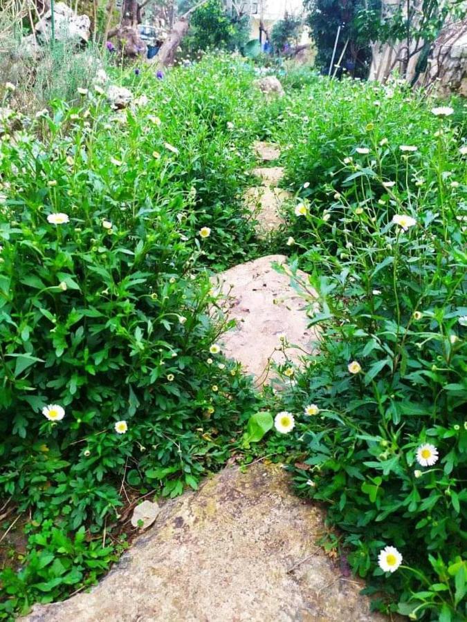 Olive Lemon Biophilic House & Lush Forest Garden Vamos Zewnętrze zdjęcie