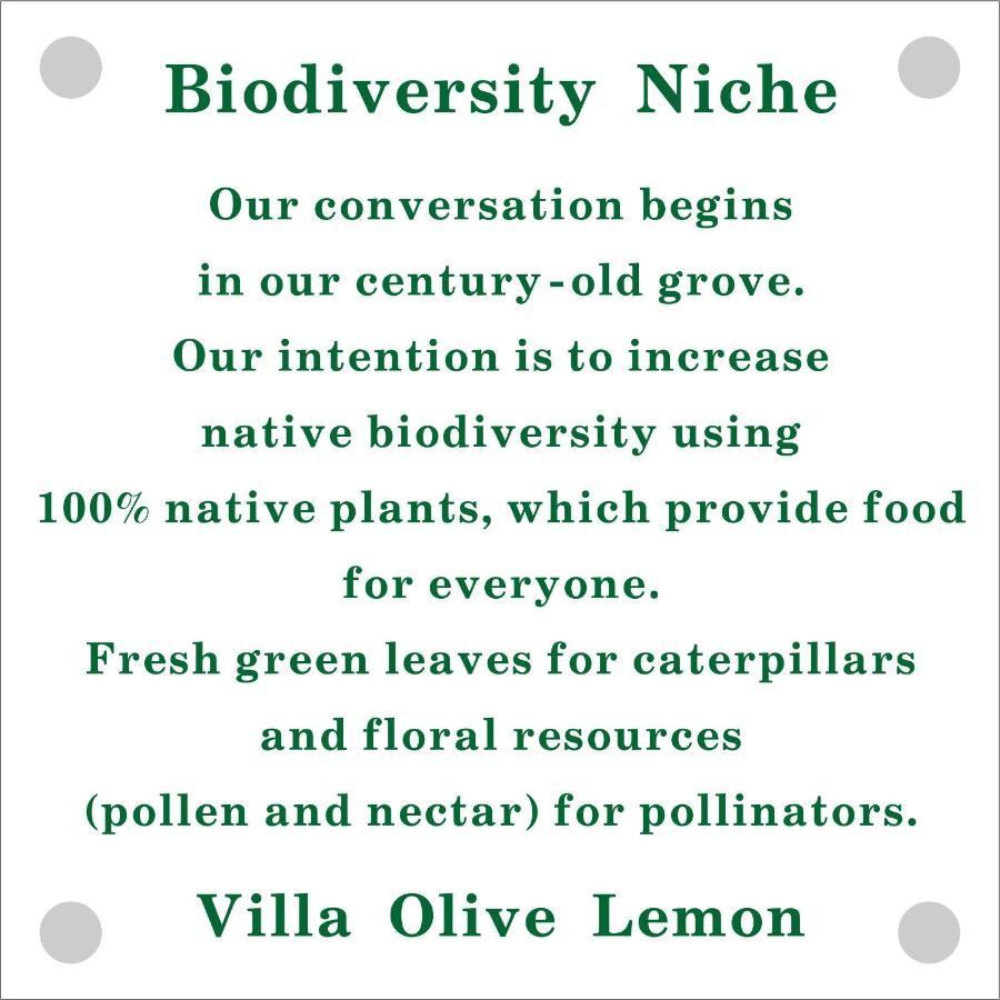 Olive Lemon Biophilic House & Lush Forest Garden Vamos Zewnętrze zdjęcie