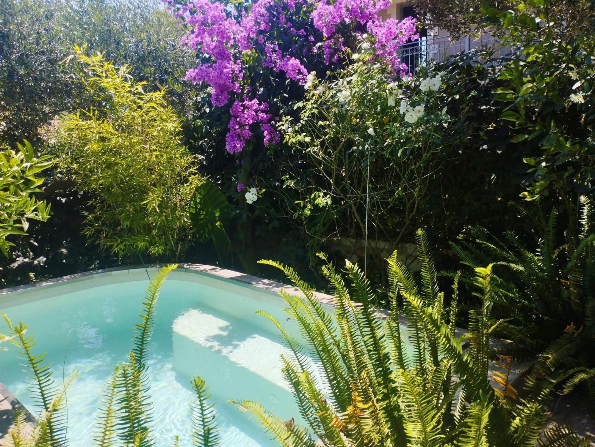 Olive Lemon Biophilic House & Lush Forest Garden Vamos Zewnętrze zdjęcie