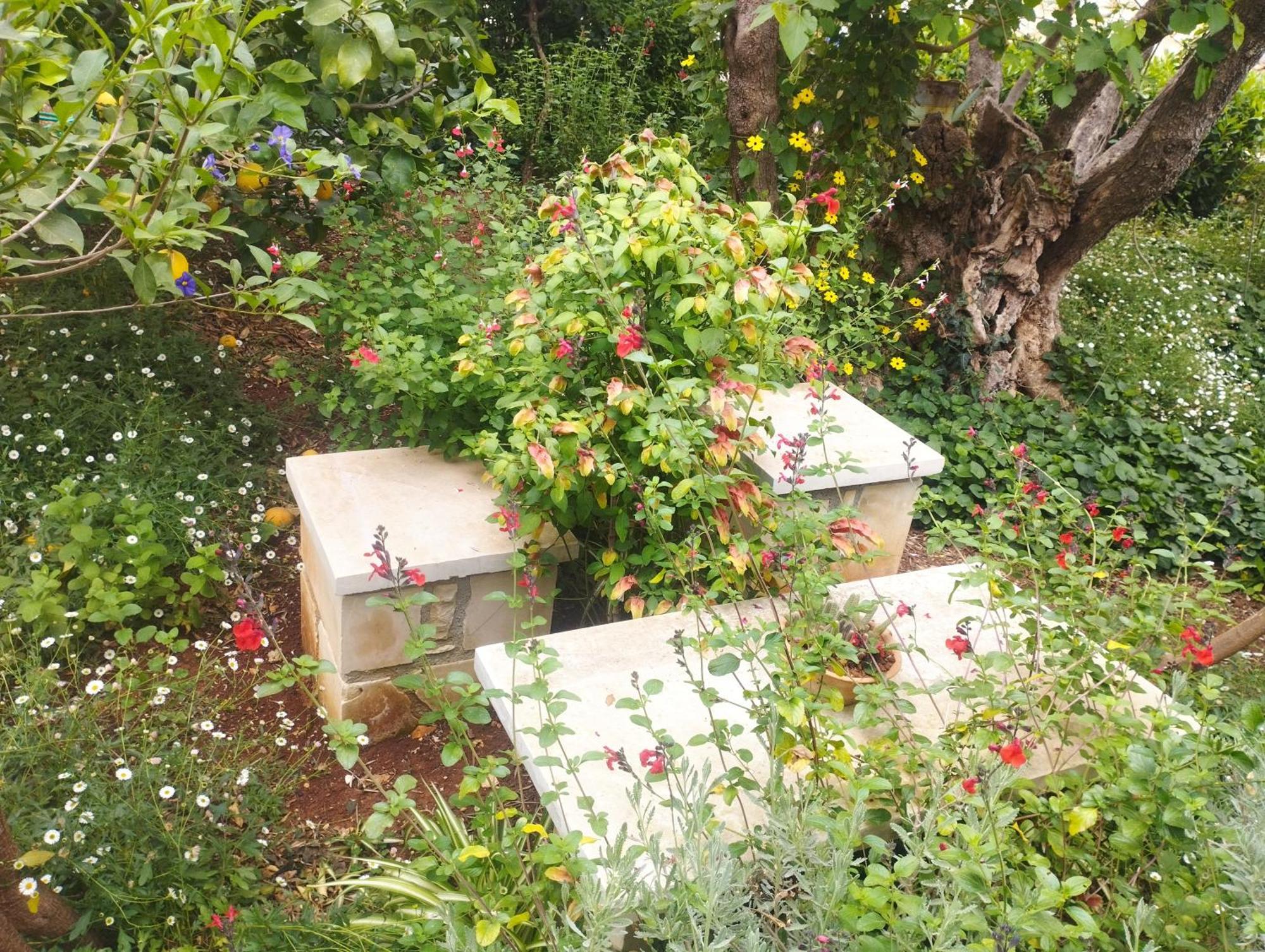 Olive Lemon Biophilic House & Lush Forest Garden Vamos Zewnętrze zdjęcie
